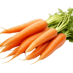 carrot