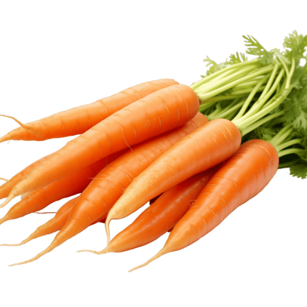 carrot