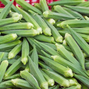 okras with raw okra in farm ( lady fingers )