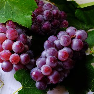 bunch cluster delicious 708777