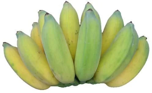 banana