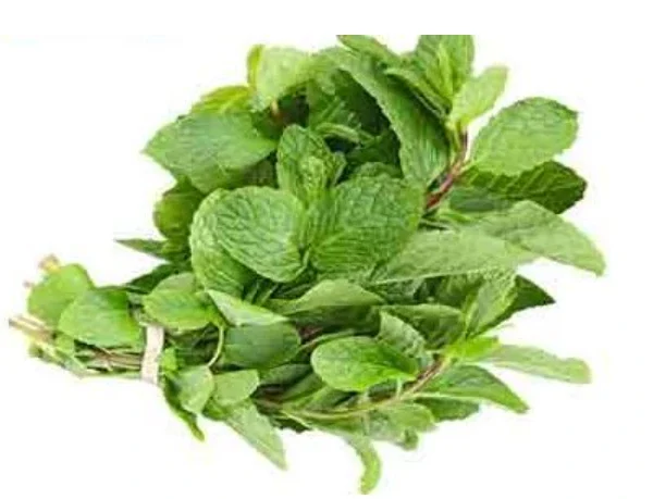 pudhina 1721195328209