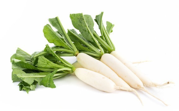 white raddish mooli long