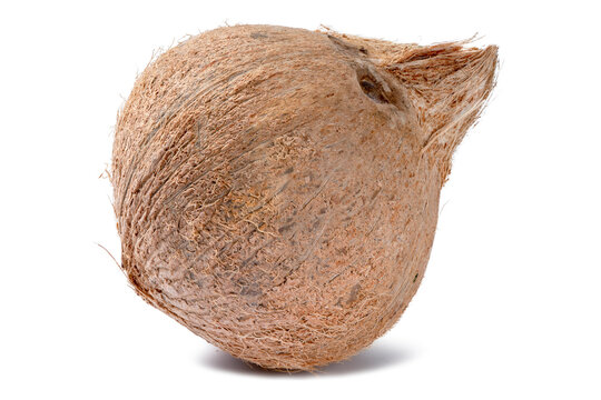 coconut image