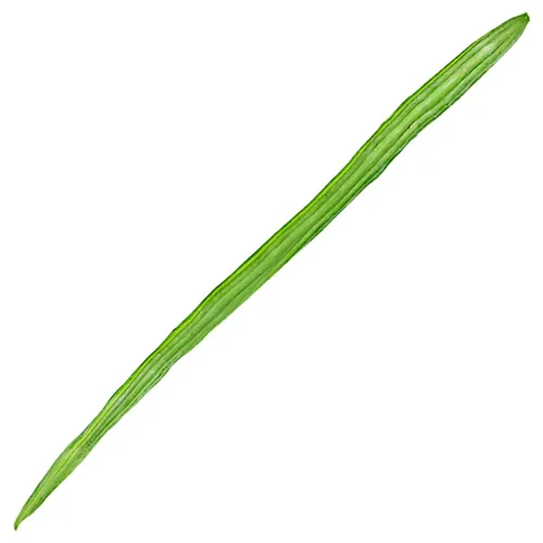 fresh drumstick vegetable 500x500