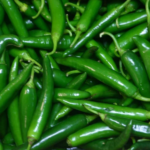 green chilli 1229x