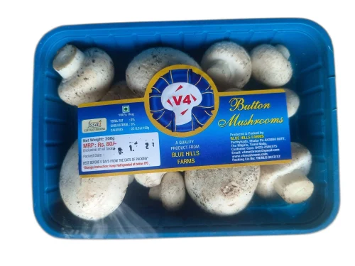 white button mushroom 500x500